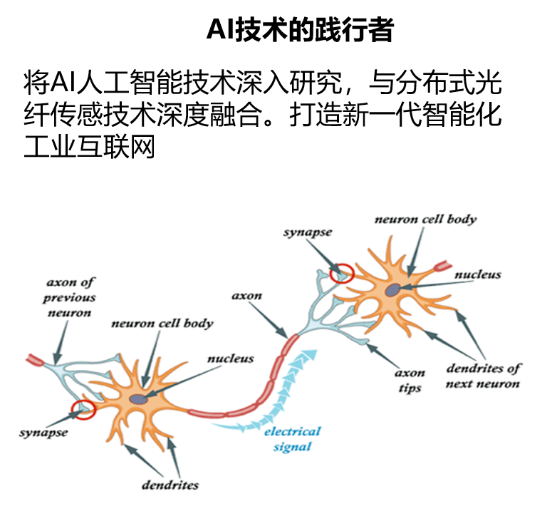 关于朴牛3